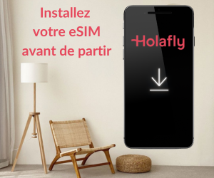 carte esim japon