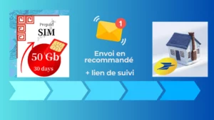 acheter carte sim japon 1 mois depuis la france, suisse, belgique