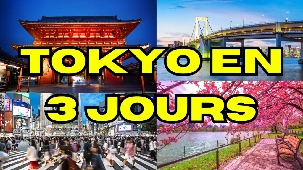 Tokyo en 3 Jours Asakusa, Shibuya, Odaiba et Ueno